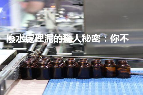 廢水處理泥的驚人秘密：你不明白的環(huán)保新突破！